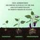 🔥2025 Hot Sale 49%OFF 🌞Home Gardening Universal Slow-Release Tablet Organic Fertilizer
