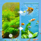 🐠Buy 1 get 1 free🐟Professional Aquarium Filtering Pad