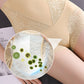 2025 New Arrival: Women’s Butt-Lifting Tummy-Control High-Waist Panties – Pre-sale Now!