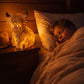 💐50% OFF ! Highland Cow Gift Lamp – Unique Idea for Christmas or Birthday 🎁🌟【New Arrival】