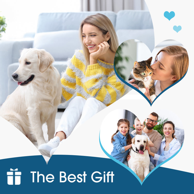 🐶🐱 תמיסת ניקוי אוזניים לכלבים וחתולים | מקלה גירוד וריח ✨ | צמחים טבעיים בטוחים 🌿