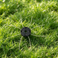 🔥Buy 1 Get 1 Free🔧Heavy-Duty Steel Wire Weed Eater Head✨ Cut Through Weeds Like A Pro🌿