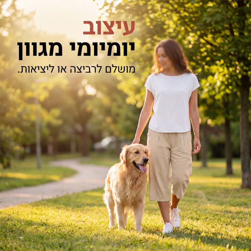 מכנסיים קצרים לנשים עם מותן אלסטית קלים