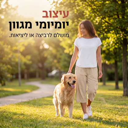 מכנסיים קצרים לנשים עם מותן אלסטית קלים