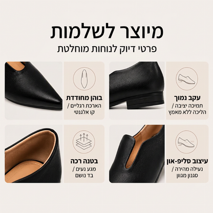 נעלי דירות אלגנטיות לנשים עם אף מחודד וחתך V