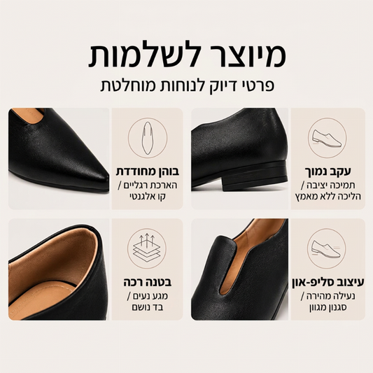 נעלי דירות אלגנטיות לנשים עם אף מחודד וחתך V