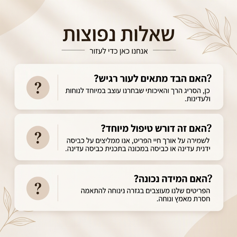 סווטשירט נשים אופנתי עם צווארון V מפוצל